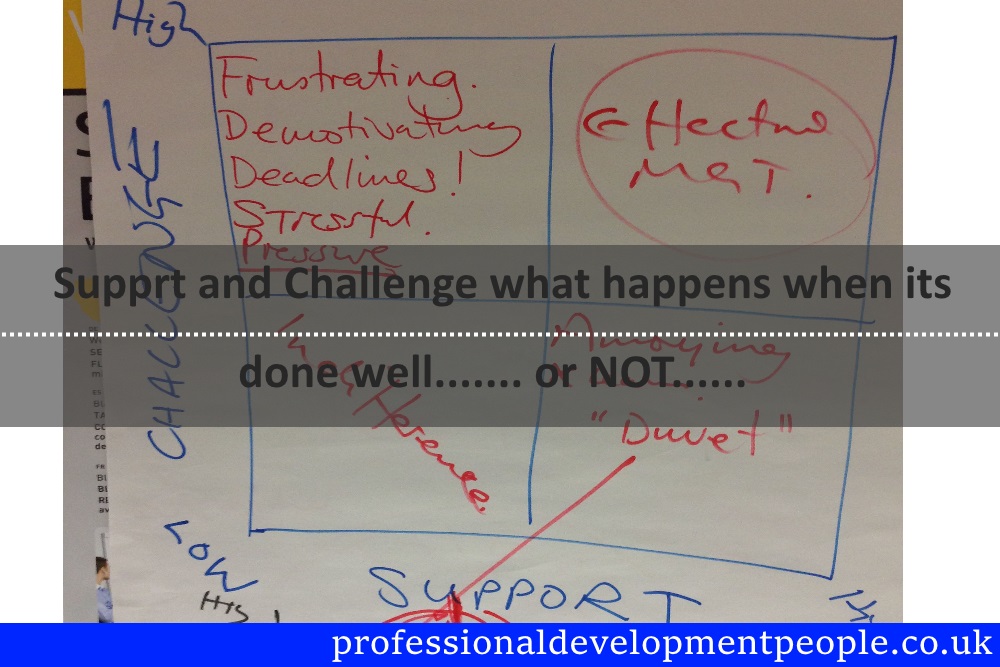 Support and challenge at work