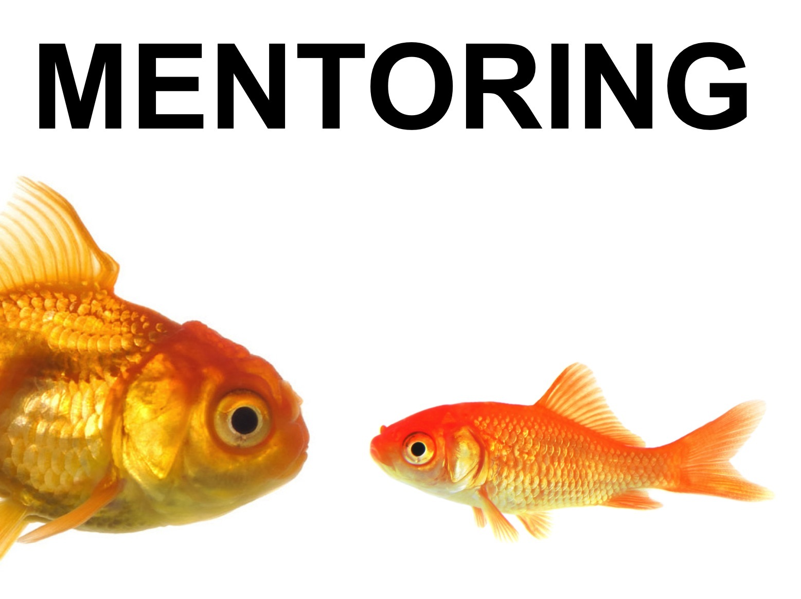 Mentoring